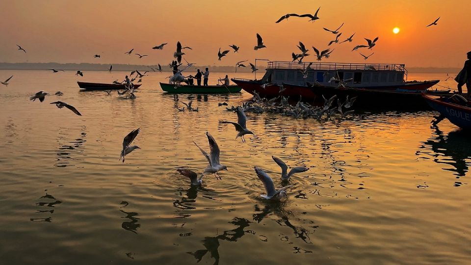 From Varanasi: 3 Days Varanasi Prayagraj Tour - Day 2 Itinerary