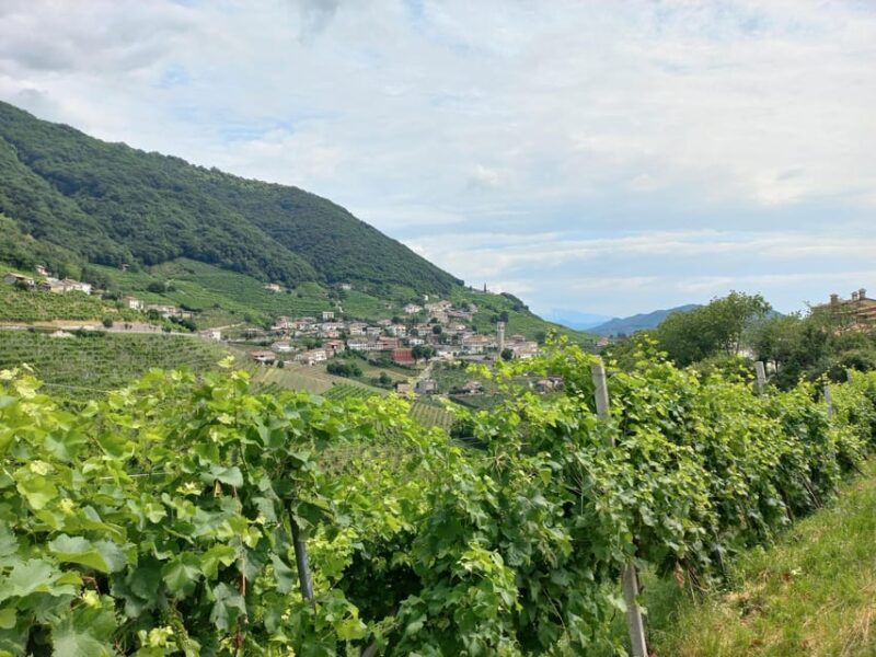From Venice and Treviso: Prosecco Hills Wine and Food Tour - Key Points