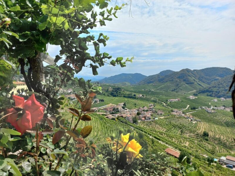 From Venice and Treviso: Prosecco Hills Wine and Food Tour - Transportation and Timing