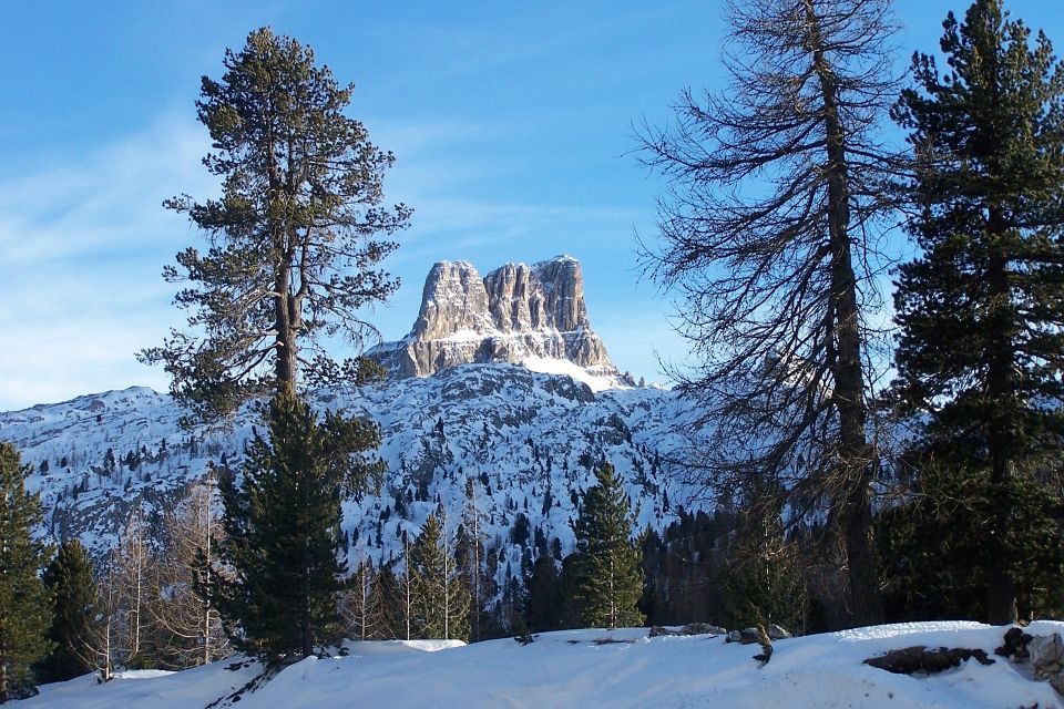 From Venice: Cortina and the Dolomites in One Day - Key Points