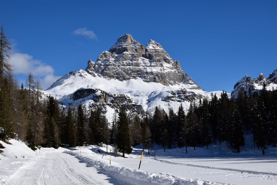 From Venice: Cortina and the Dolomites in One Day - Activity Highlights