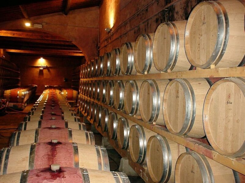 From Venice: day trip to Amarone and Prosecco wine regions - Who Will Love This Tour?