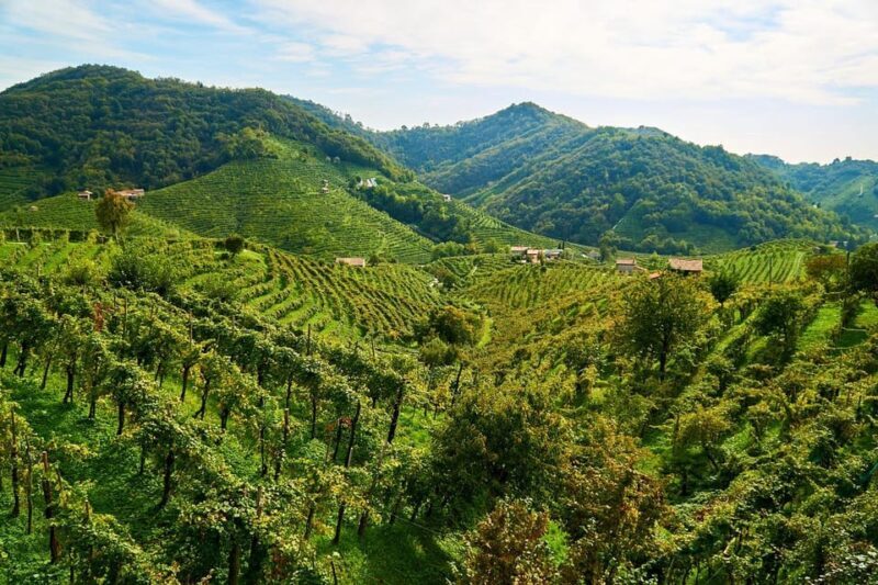 From Venice: day trip to Amarone and Prosecco wine regions - The Sum Up