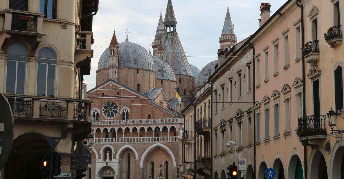 From Venice: Day Trip to Padua With Private Guided Tour - Key Points
