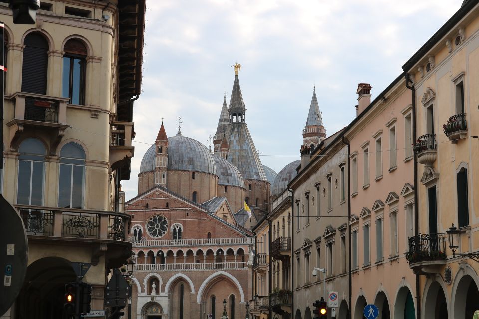 From Venice: Day Trip to Padua With Private Guided Tour - Itinerary
