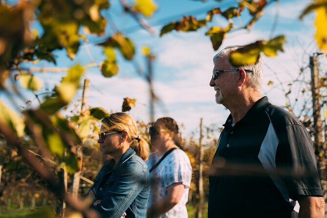 From Venice: Prosecco Wine Region Tour with 2 Tastings - Who Will Love This Tour?