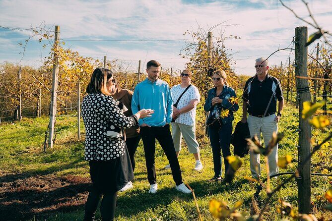 From Venice: Prosecco Wine Region Tour with 2 Tastings - Wrapping It Up
