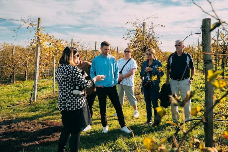 From Venice: Prosecco Wine Region Tour with 2 Tastings - Key Points
