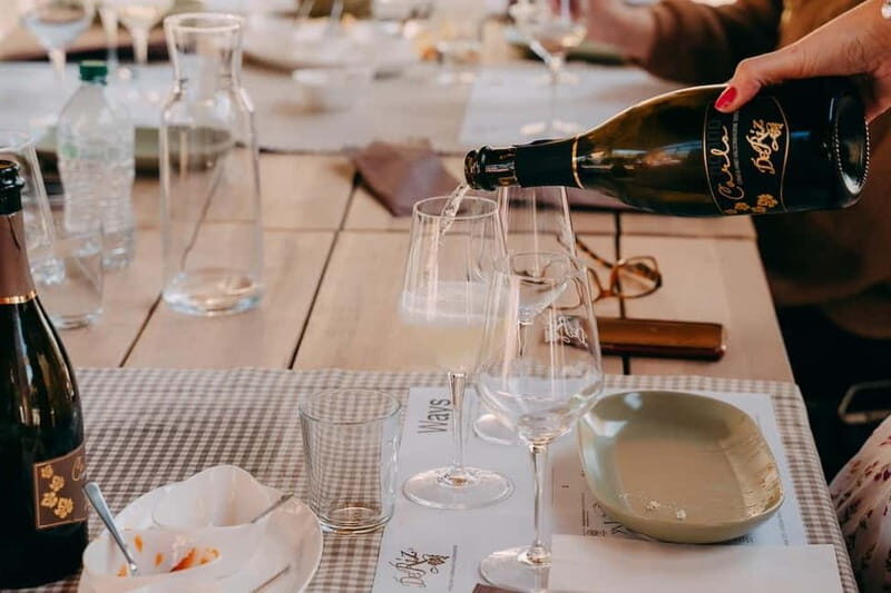 From Venice: Prosecco Wine Region Tour with 2 Tastings - Who Should Take This Tour?