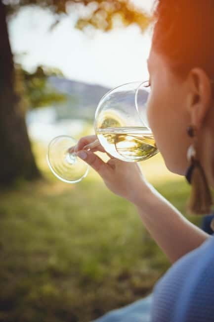 From Venice: Tour of the Prosecco Hills with Wine and Food - The Experience in Detail