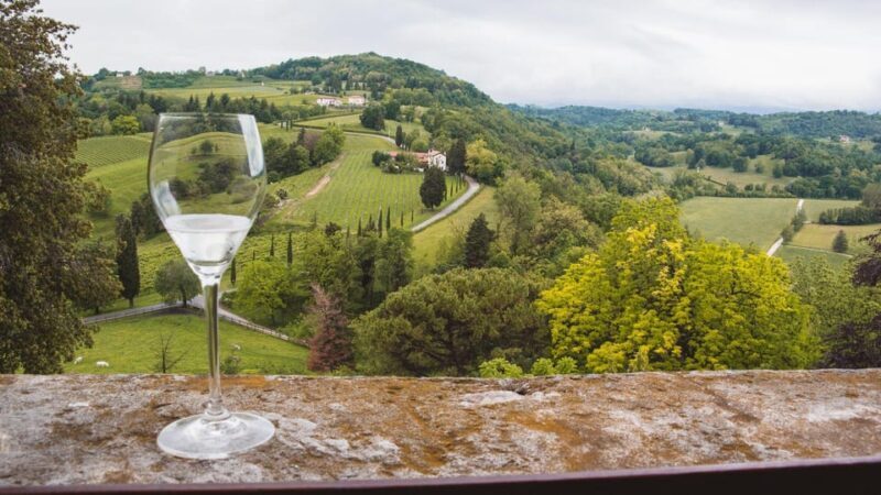 From Venice: Wine and Food tour in the Prosecco Hills - Key Points