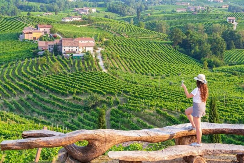 From Venice: Wine and Food tour in the Prosecco Hills - An In-Depth Look at the Experience