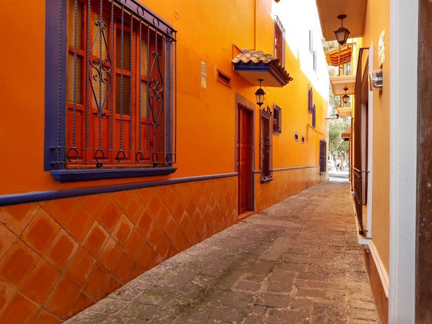 From Veracruz: Naolinco Guided Tour - What to Bring