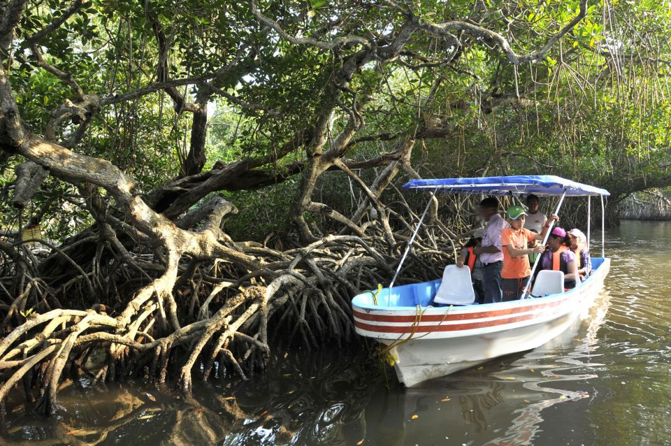 From Veracruz: Nature & Seafood Boat Tour to Madinga - Mangrove Scenery and Marine Life