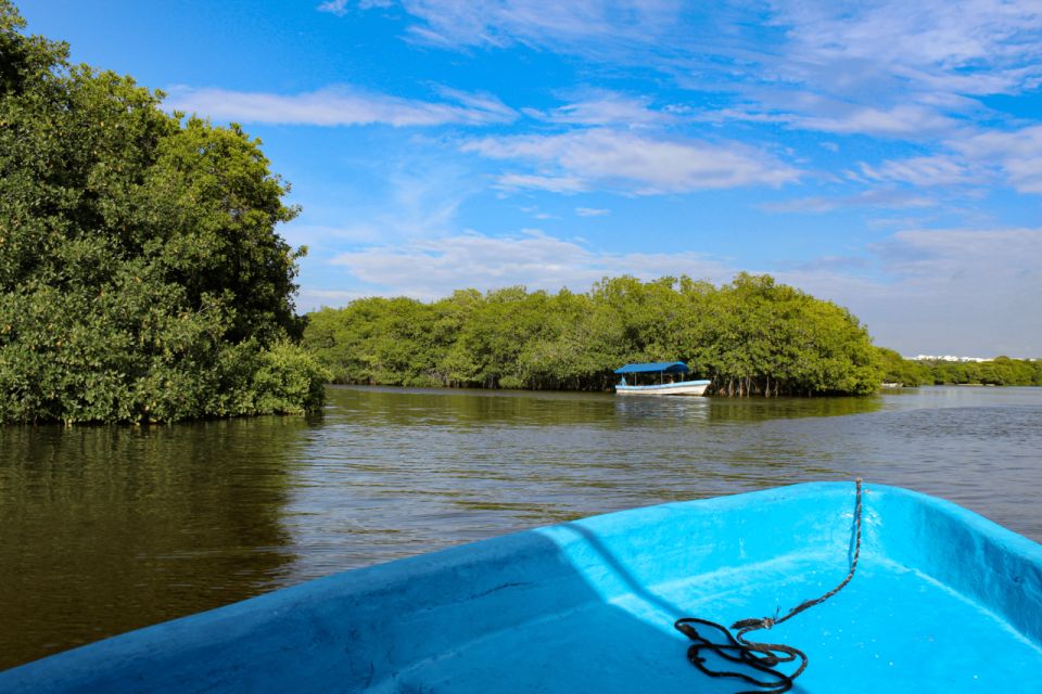 From Veracruz: Nature & Seafood Boat Tour to Madinga - Seafood Dining Recommendations