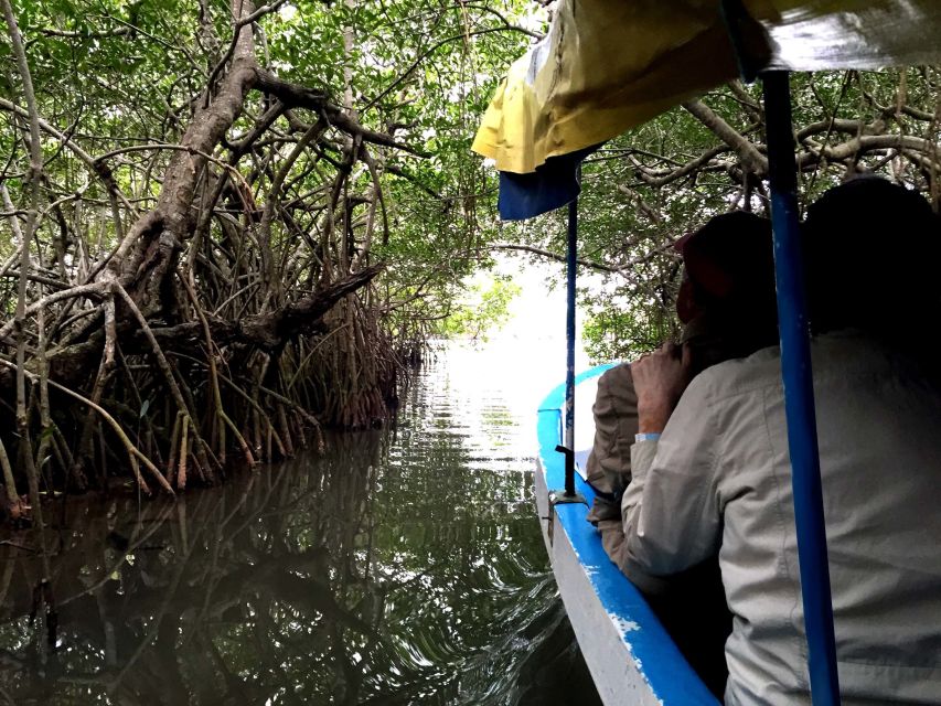 From Veracruz: Nature & Seafood Boat Tour to Madinga - Frequently Asked Questions