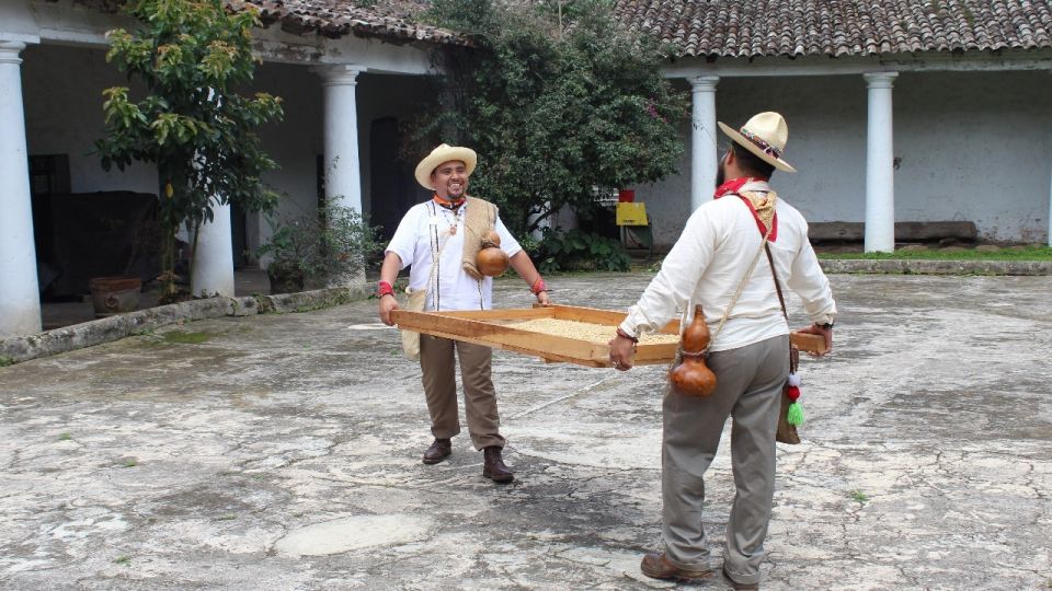 From Veracruz or Boca Del Río: Coffee Tour in Coatepec - Exclusions