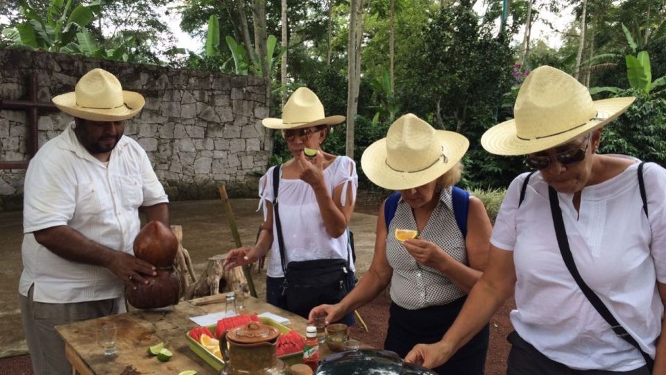 From Veracruz or Boca Del Río: Coffee Tour in Coatepec - Coffee Hacienda and Plantations