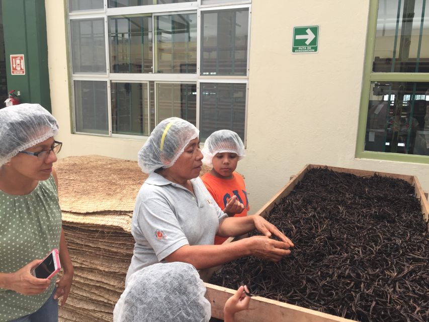 From Veracruz: Tajin Day Trip With Vanilla Factory Visit - Highlights of the Tour