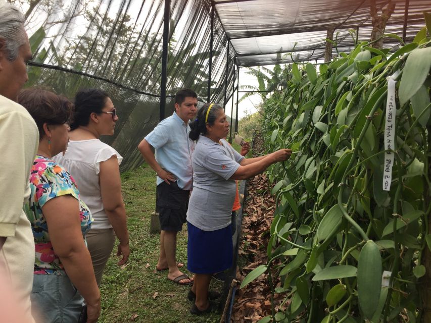 From Veracruz: Tajin Day Trip With Vanilla Factory Visit - Excluded From the Tour