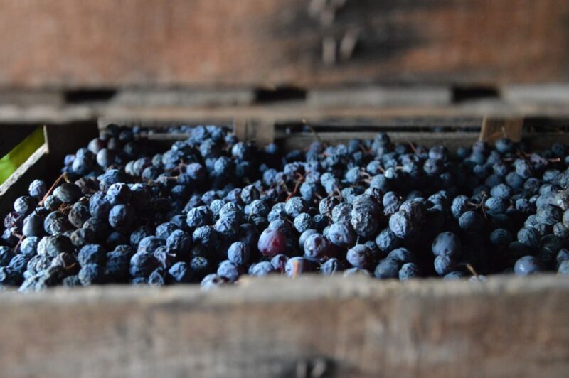 From Verona: Amarone Half-Day Wine Tasting Tour - Frequently Asked Questions