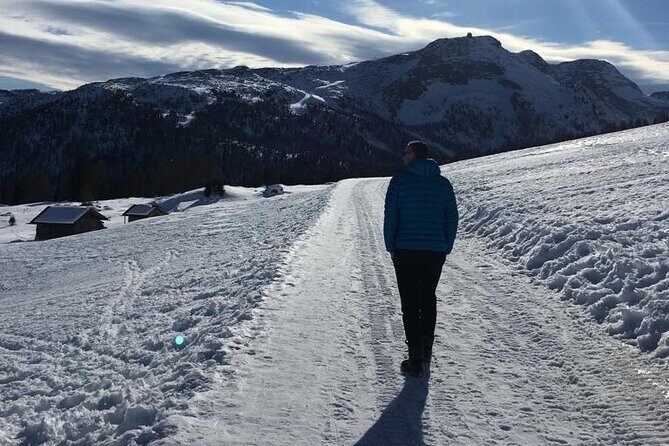 From Verona area: Private day trip to the Dolomites - Authentic experiences and genuine value