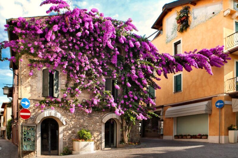 From Verona: discover Lake Garda and Sirmione private tour - Final Thoughts