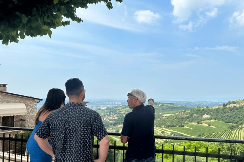 From Verona: tour of Lake Garda, Bardolino and Valpolicella! - Who Is This Tour Best For?