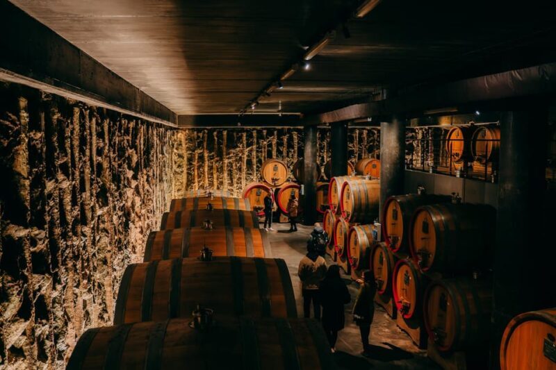 From Verona: Valpolicella and Amarone Wine Tasting Tour - Key Points