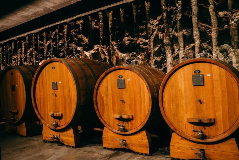 From Verona: Valpolicella and Amarone Wine Tasting Tour - The Experience in Detail