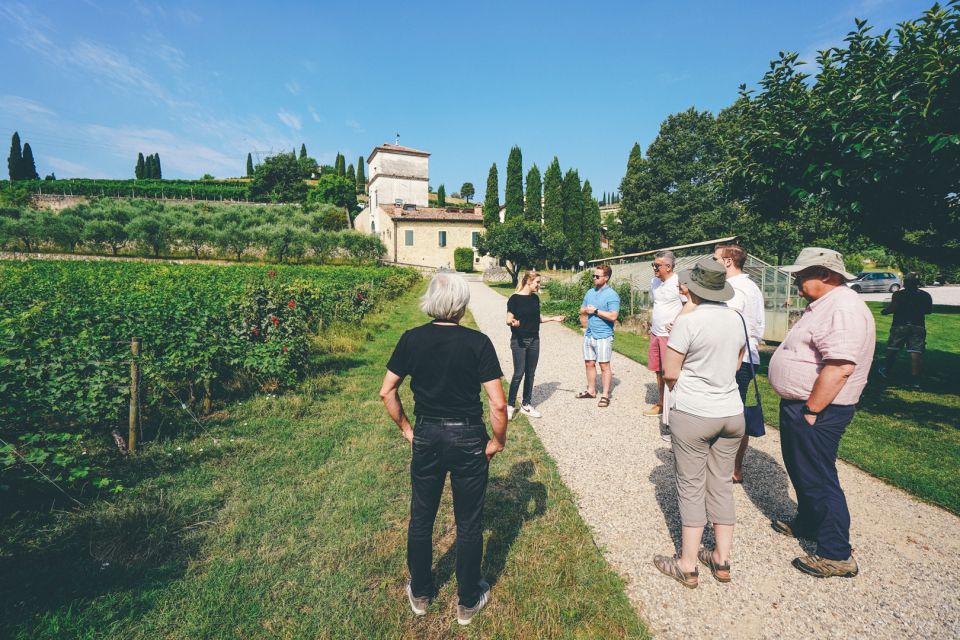 From Verona: Valpolicella and Amarone Wine Tasting Tour - Key Points