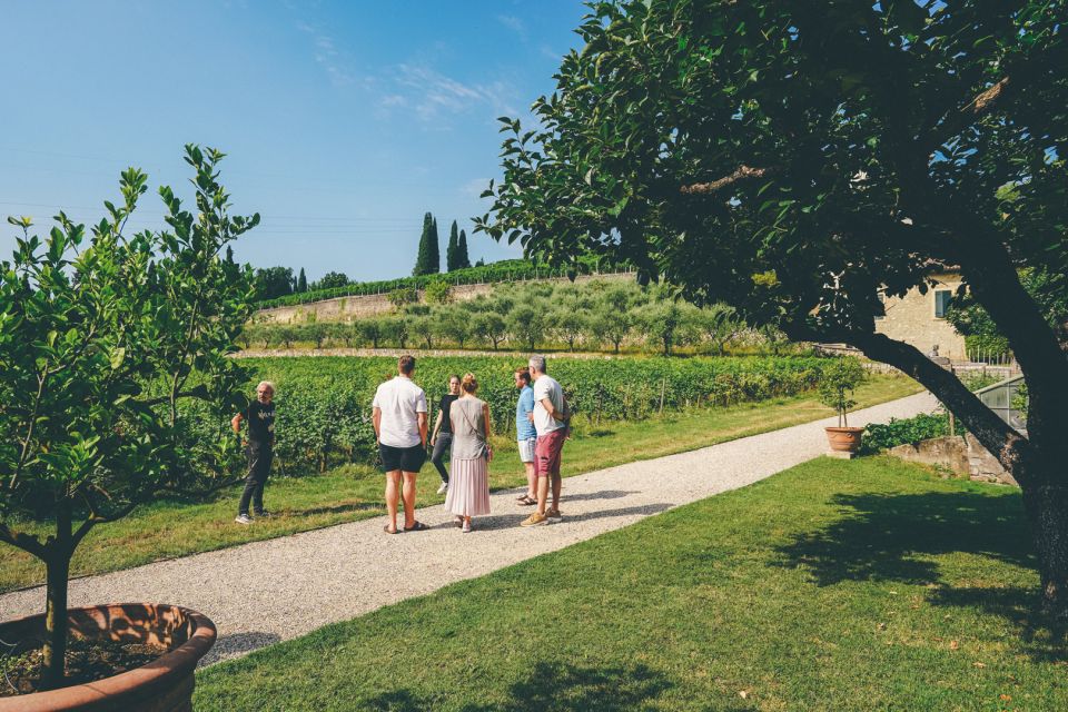 From Verona: Valpolicella and Amarone Wine Tasting Tour - Itinerary
