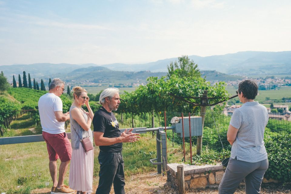 From Verona: Valpolicella and Amarone Wine Tasting Tour - Transportation