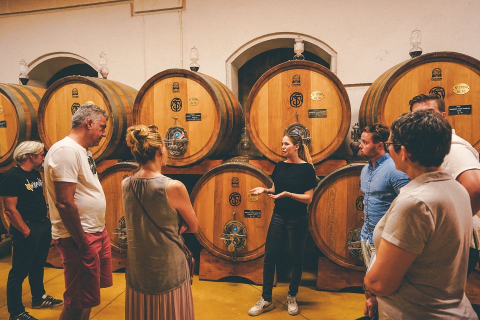 From Verona: Valpolicella and Amarone Wine Tasting Tour - Advance Notice Required