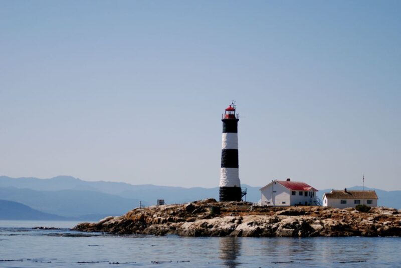 From Victoria: Whale Watching Marine Wildlife Excursion - Final Thoughts