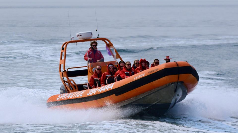 From Victoria: Whale Watching Tour by Zodiac Boat - Meeting Point