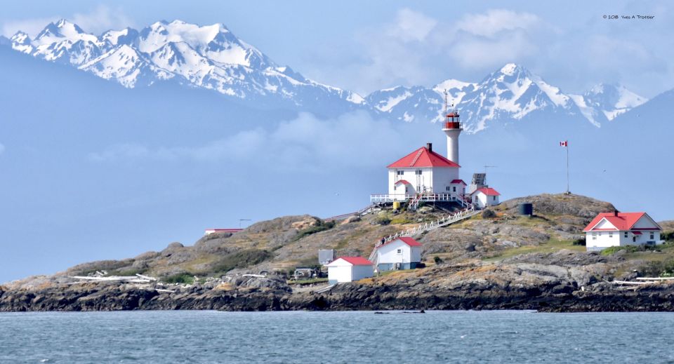 From Victoria: Whale Watching Tour by Zodiac Boat - Additional Information