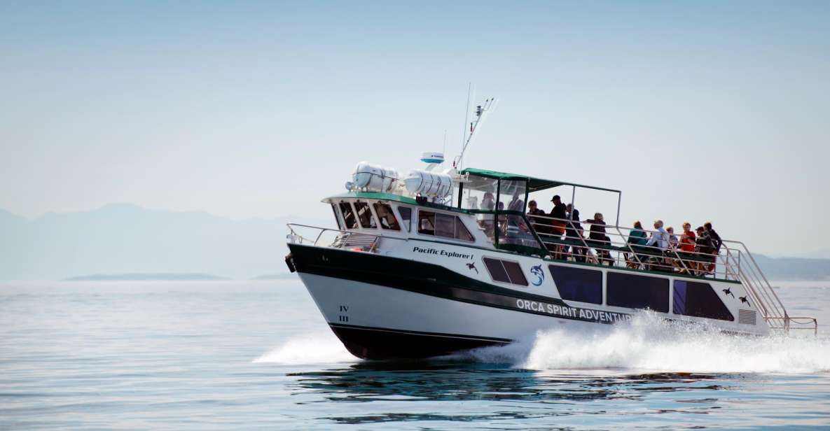 From Victoria: Whale Watching Trip on Covered Boat - Featured Amenities and Comforts