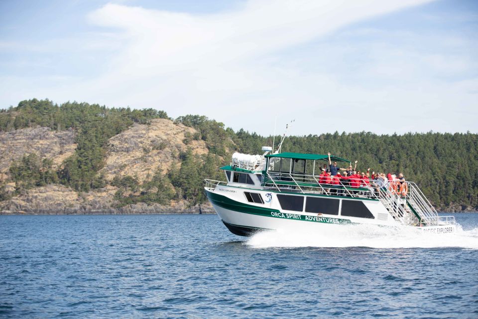 From Victoria: Whale Watching Trip on Covered Boat - Cancellation and Refund Policy
