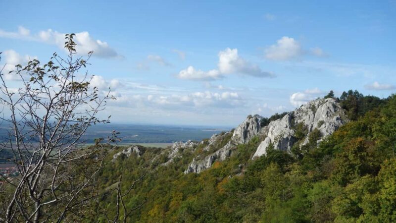 From Vienna: Bratislava & Countryside Guided Half Day Tour - Key Points