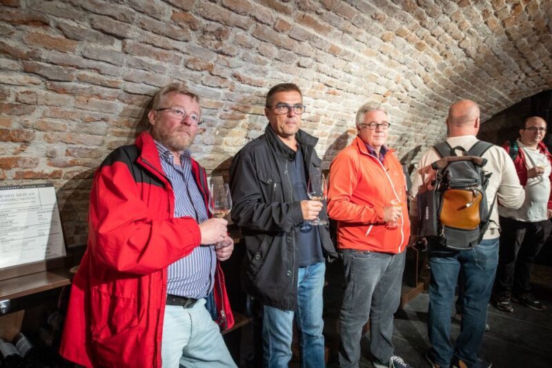 From Vienna: Explore the Tastes of Bratislava on a Day Trip - Transportation and Logistics