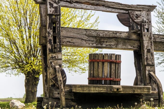 From Vienna: Half-Day Countryside Wine Tour With Meal - Local Wine Culture Insights