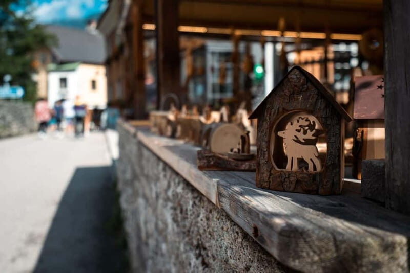 From Vienna: Hallstatt and Treetop Path Private Day Trip - The Sum Up