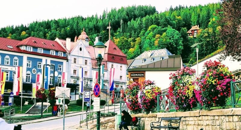 From Vienna: Private tour to Mariazell - Who Would Love This Tour?