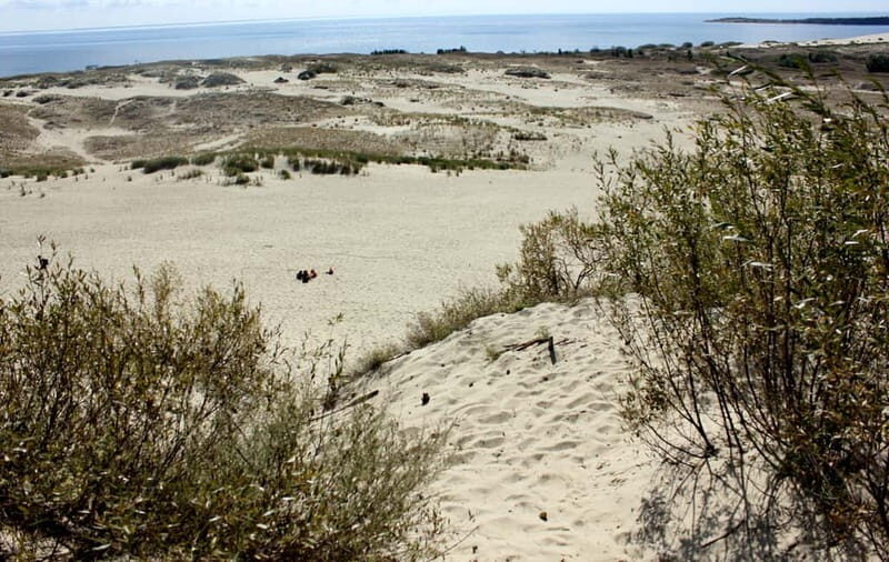 From Vilnius: Day Trip to Curonian Spit National Park - Exploring the Curonian Spit: A Landscape of Wonder