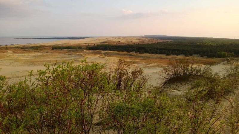 From Vilnius: Day Trip to Curonian Spit National Park - Nida Village: A Cultural and Natural Gem