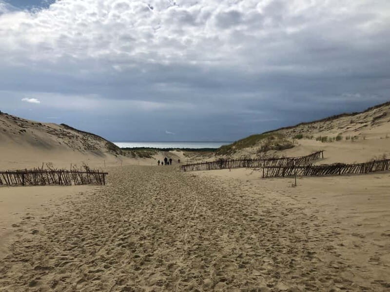 From Vilnius: Day Trip to Curonian Spit National Park - Transportation and Logistics