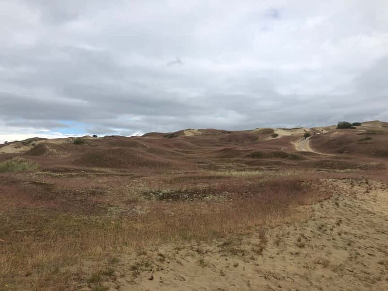 From Vilnius: Day Trip to Curonian Spit National Park - Authentic Experiences and Reviews