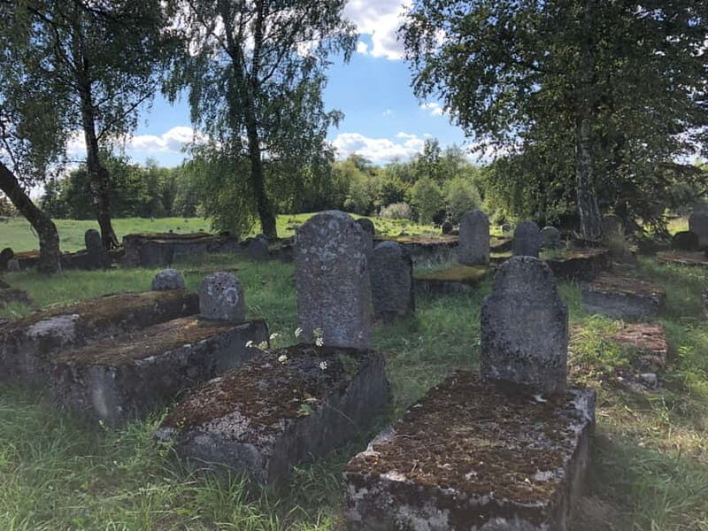 From Vilnius: Guided Jewish Heritage Day Trip to Kaunas - The Value of a Private Guide