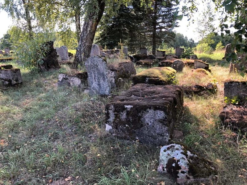 From Vilnius: Guided Jewish Heritage Day Trip to Kaunas - FAQs